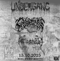 UNDERGANG, CHAOTIAN, MAGGOTS